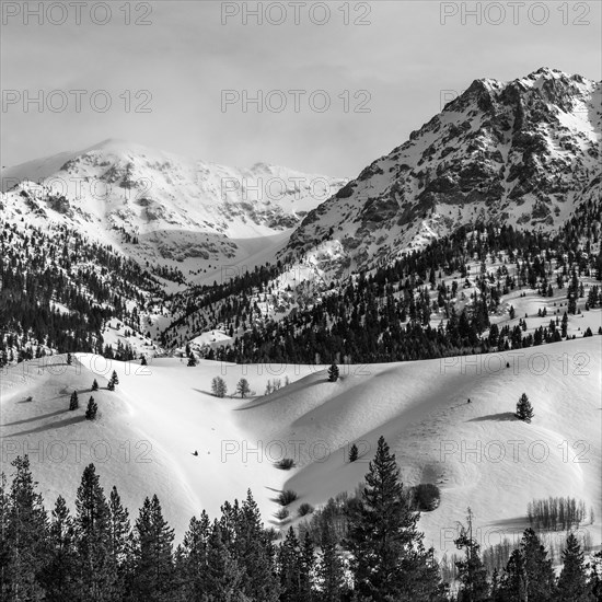 Snow-covered mountains with forests