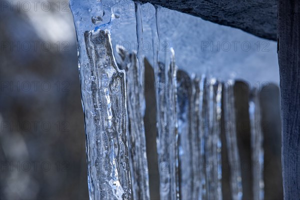 Close up of icicles in winter