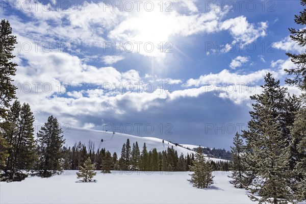 Winter scenery at sunny day