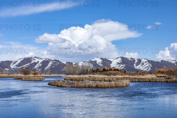 Puffy clouds above mountains and marsh