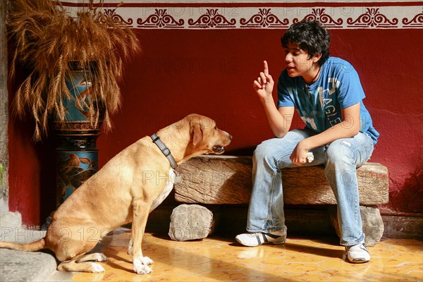 Boy sitting on stone bench and gesturing to dog