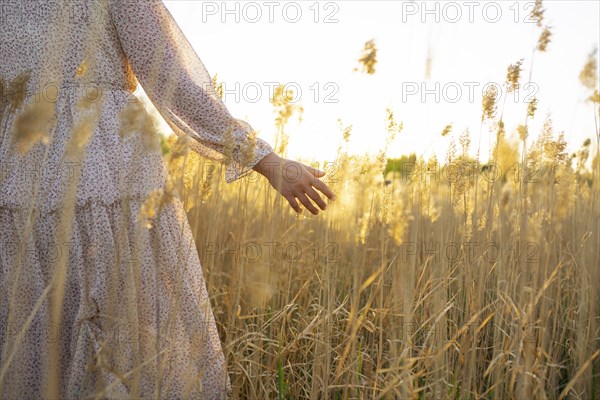 Young woman touching plants in field at sunset