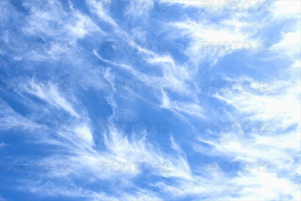 White Cirrus uncinus clouds against blue sly