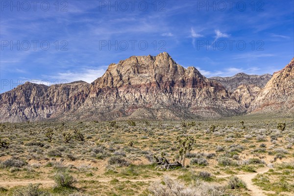 Mountains at Red Rock Canyon National Conservation Area
