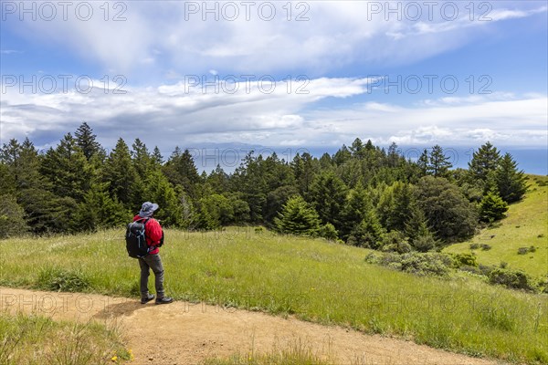 Senior man hiking Dipsea Trail