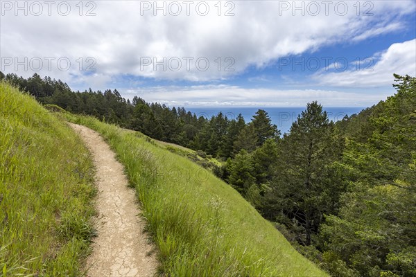 Hiking trail from Stinson beach crossing hill