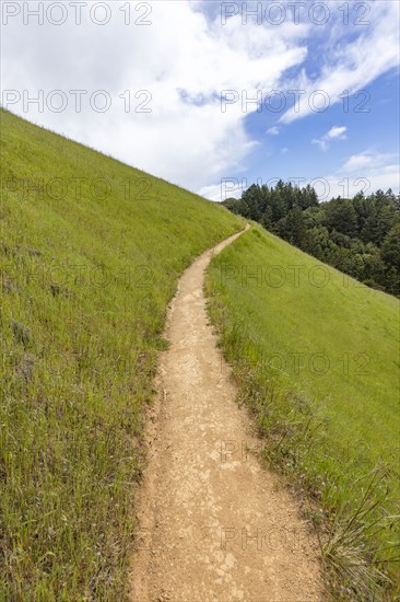 Hiking trail from Stinson beach crossing hill