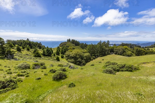 Scenic view towards ocean from hillside