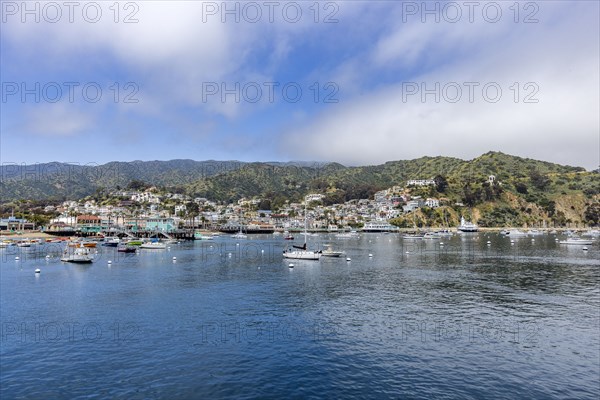 View of Avalon Harbor and town on sea coast
