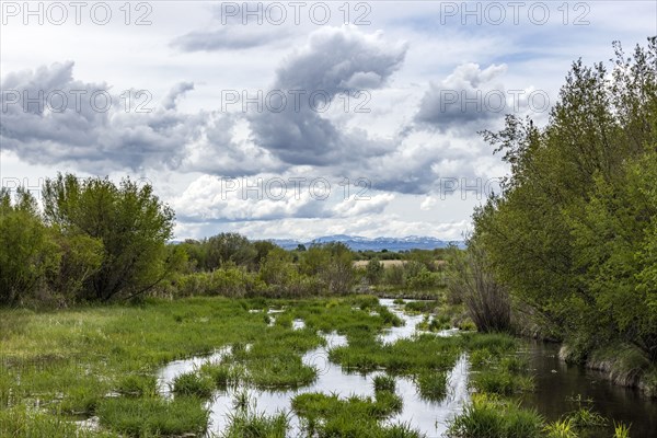 Landscape with small pond and mountains in background