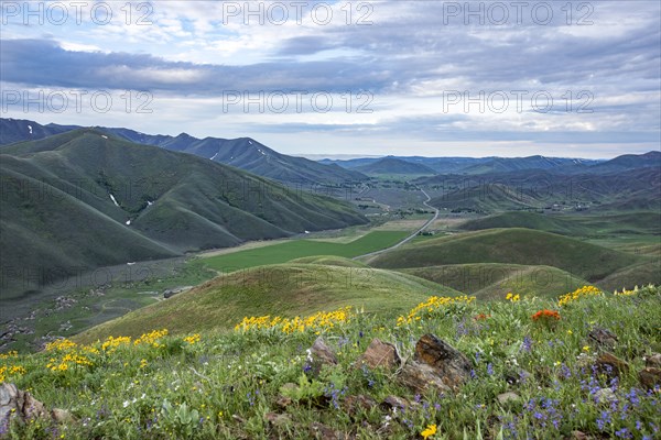 View of valley from Carbonate Mountain