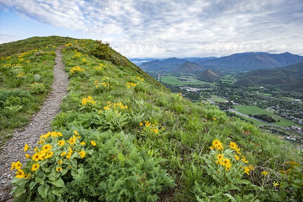 Hiking trail on Carbonate Mountain