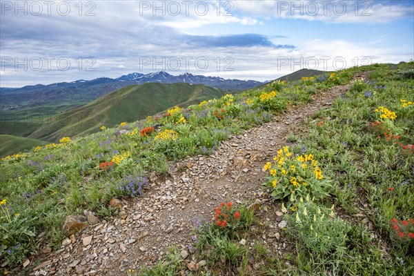 Hiking trail on Carbonate Mountain