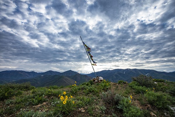 Prayer flags and Arrowleaf Balsamroot