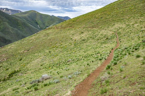 Hiking trail on Carbonate Mountain