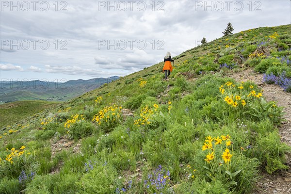 Senior blonde woman hiking on Carbonate Mountain trail