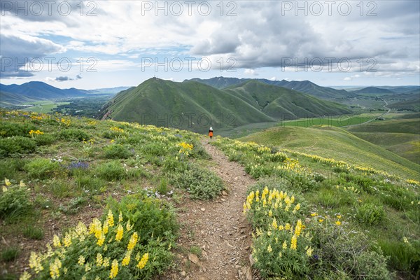 Senior blonde woman hiking on Carbonate Mountain trail