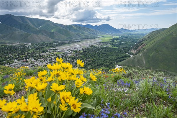 Scenic landscape with Arrowleaf Balsamroot along Carbonate Mountain Trail