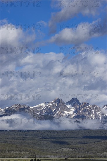 Fog over forest by Sawtooth Mountains