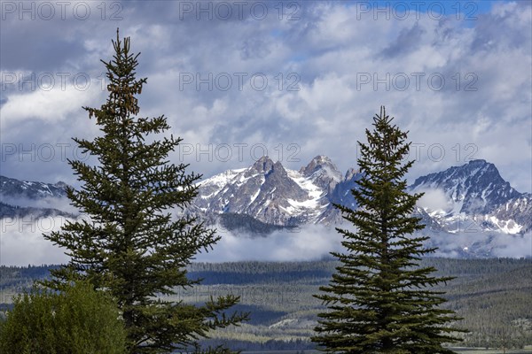 Fog over forest by Sawtooth Mountains