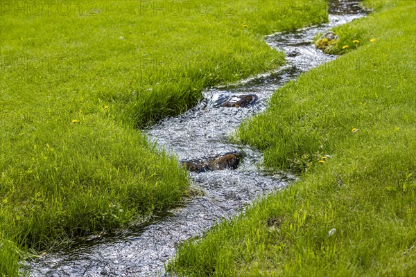 Stream flowing through green meadow