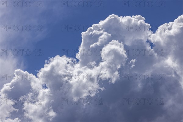 Full frame of puffy white clouds in blue sky