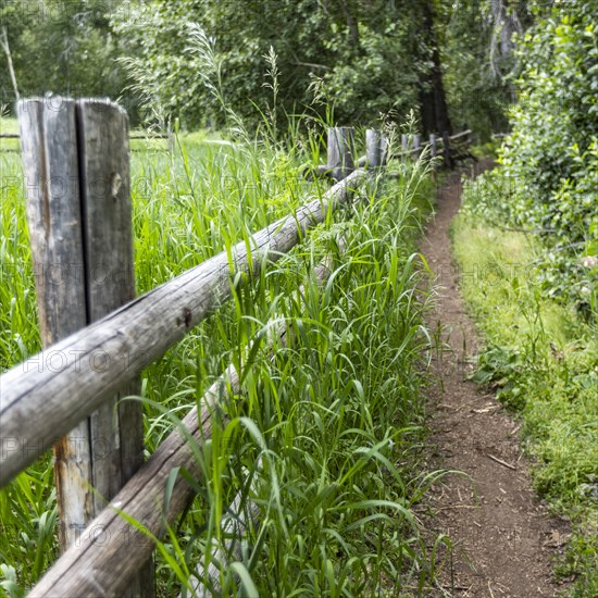 Empty footpath next to rail fence with grass