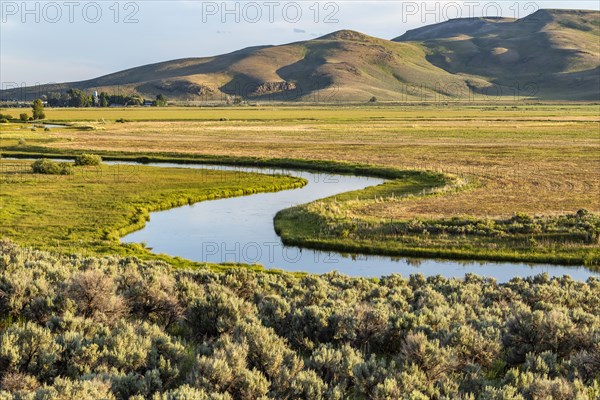 Silver Creek stream flowing through farmland