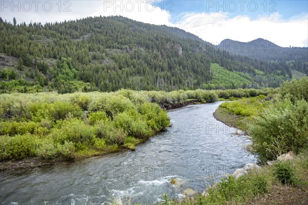 Mountain landscape with North Fork Big Lost River