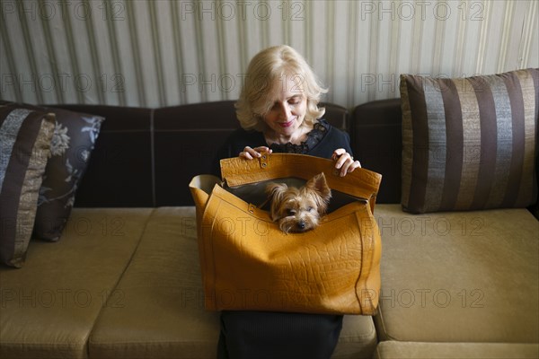 Woman holding on lap bag with Yorkshire terrier in living room