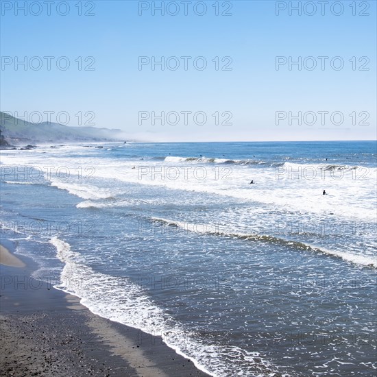 Surfers in sea