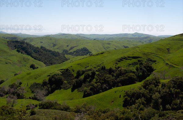 Rolling green landscape with clear sky above