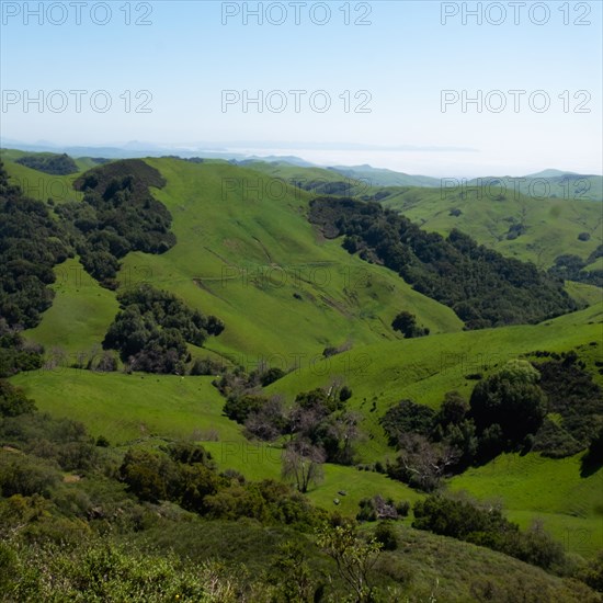 Rolling green landscape with clear sky above