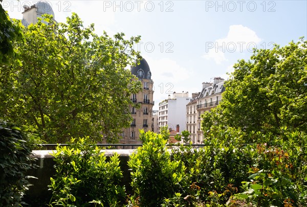 Lush trees in front of buildings in city