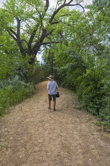 Rear view of woman walking on footpath in High Desert oasis