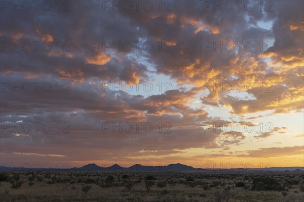 USA New Mexico