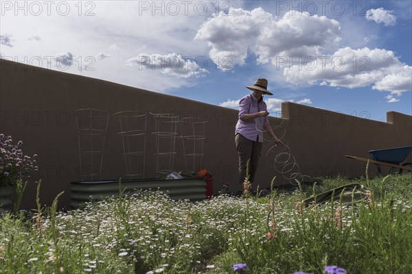 USA New Mexico