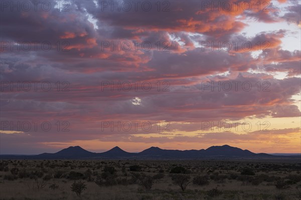 USA New Mexico