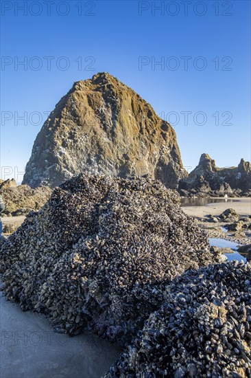 USA Oregon