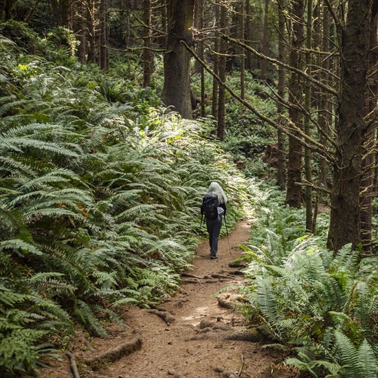 Woman walking on path in forest