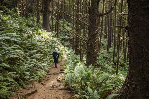 Woman walking on path in forest