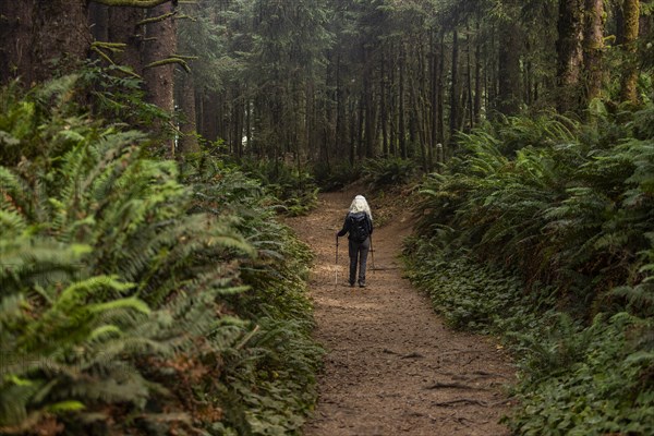 Senior woman hiking in forest with nordic walking poles