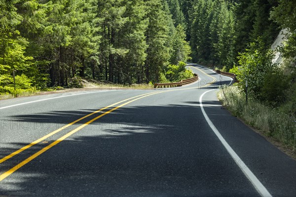 Empty road leading through forest