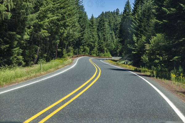 Empty road leading through forest