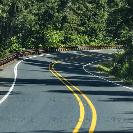 Empty road leading through forest