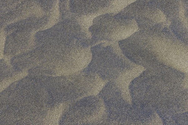 Wind sculpted patterns in beach sand