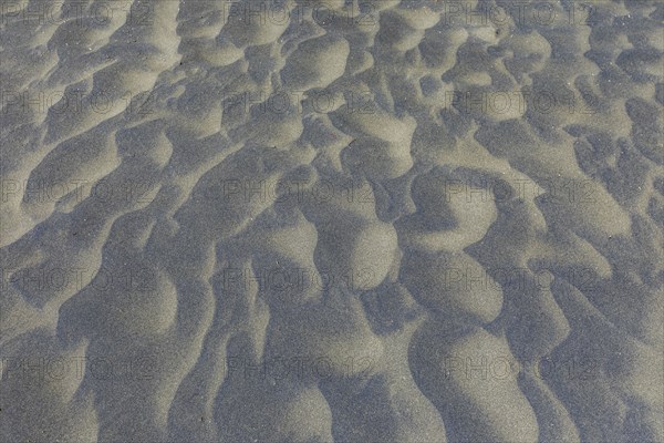 Wind sculpted patterns in beach sand