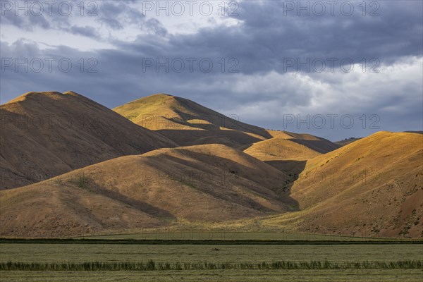 Hills illuminated with afternoon sunlight