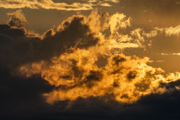 Clouds illuminated with morning sunlight