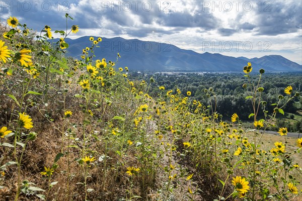 USA Idaho